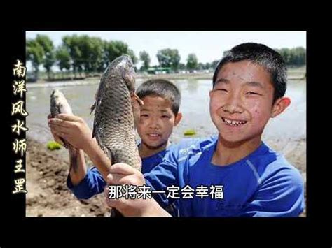 魚是幾號|夢見魚、大魚